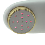 Load image into Gallery viewer, LASTEK® Portable Pain Relief Cold Laser Therapy Device 808nm+650nm For Humans, Cats, Dogs