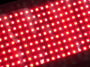 Red  Light Therapy Belt