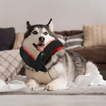 Load image into Gallery viewer, Red Light Therapy Belt for Neck &amp; Shoulder
