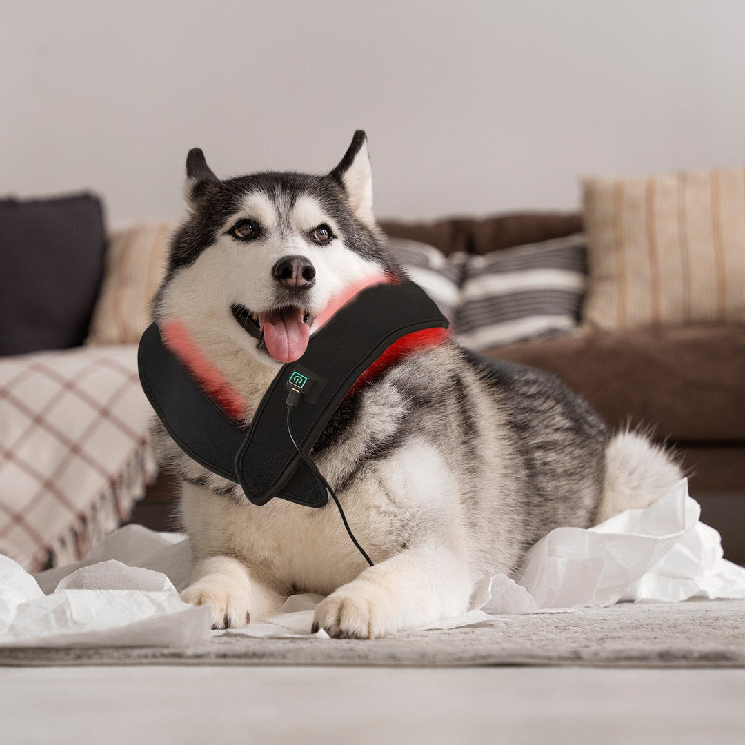 Red Light Therapy Belt for Neck & Shoulder
