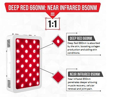 LED Infrared & Red Light Therapy 300 Traveller